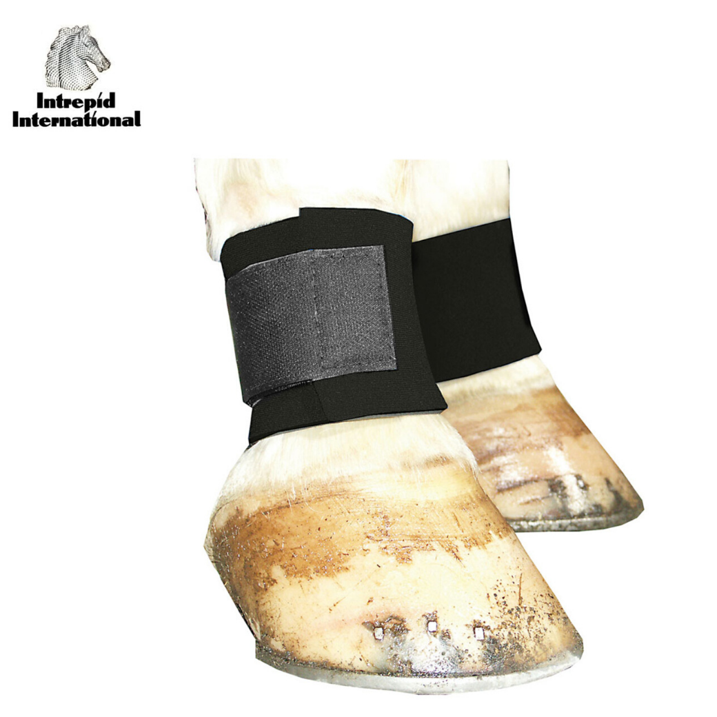 Neoprene Pastern Wraps,  Black