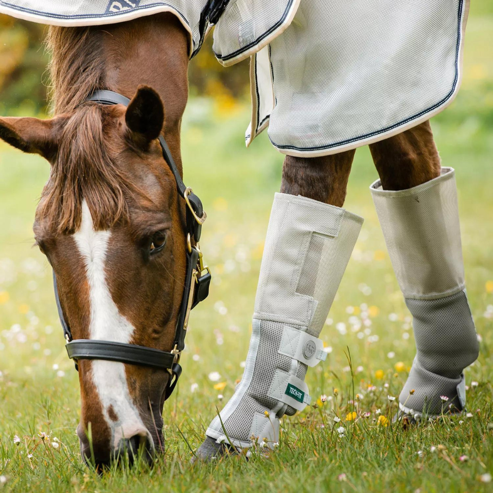 Cashel fly sales boots for horses