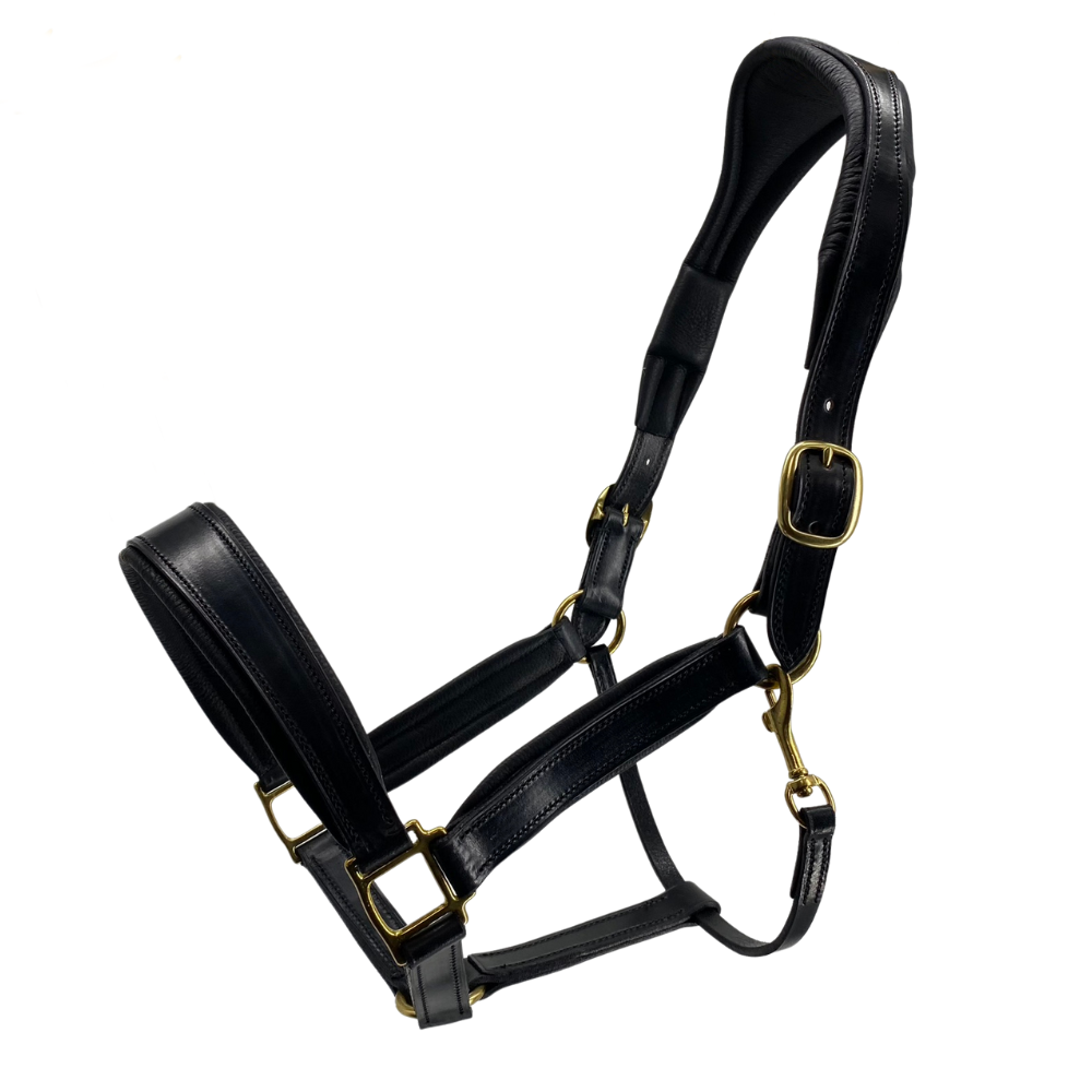 Brass online tacks headcollars