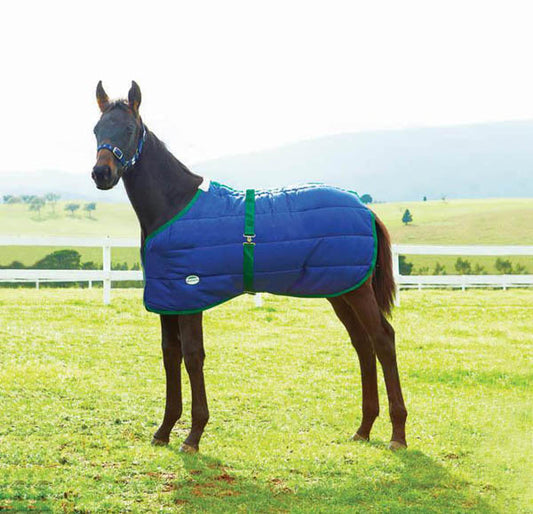 WeatherBeeta 420D Foal Standard Neck Blanket