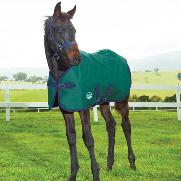 WeatherBeeta 1200D Standard Neck Foal Blanket, 220gm