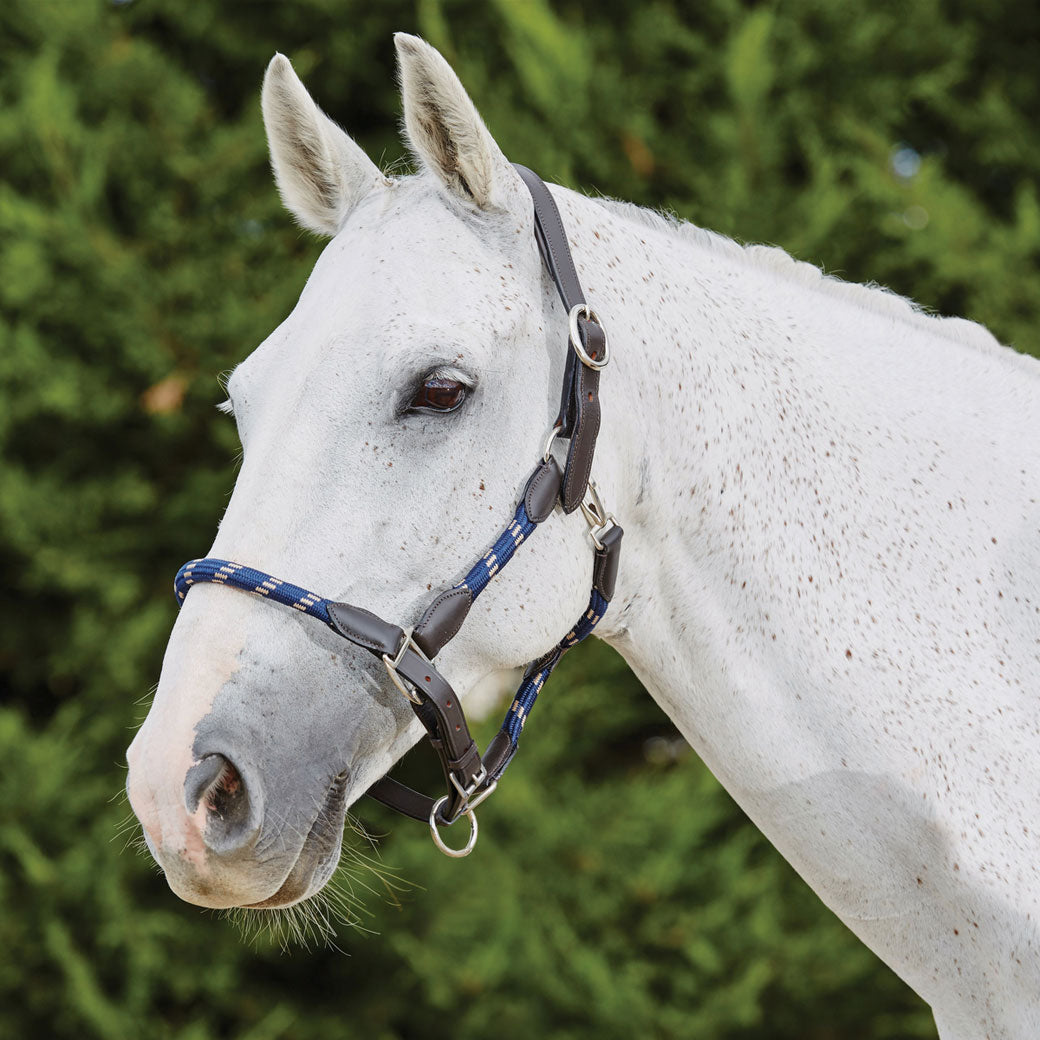 Kincade Leather & Rope Halter