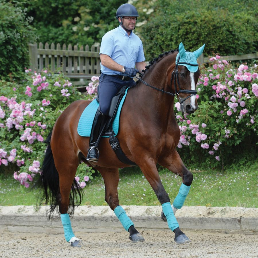 WeatherBeeta Prime Dressage Pad, Turquoise