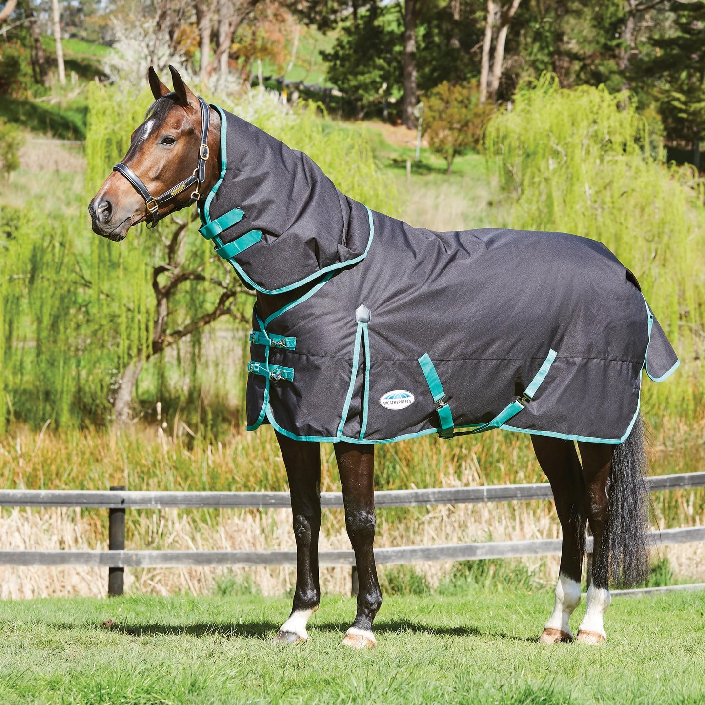 Weatherbeeta Green-Tec 900D Detach-A-Neck Turnout,  Medium