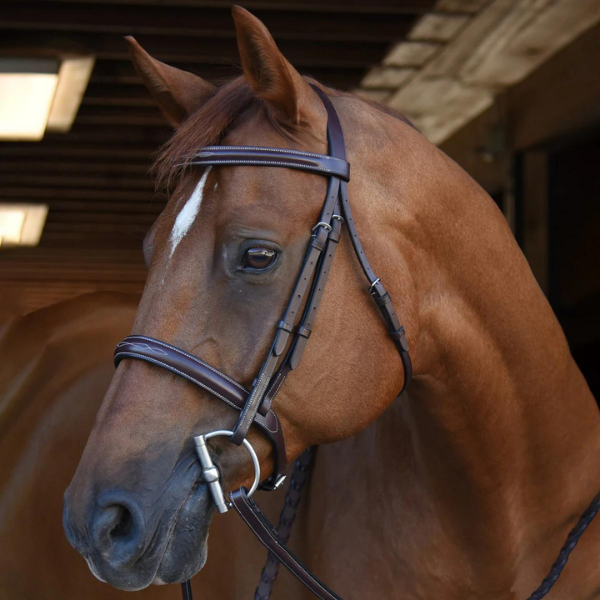 Black Oak Poppy Hunter Bridle