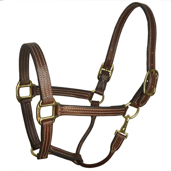 Perris Leather Stable Halter