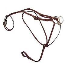 German Martingale with Reins