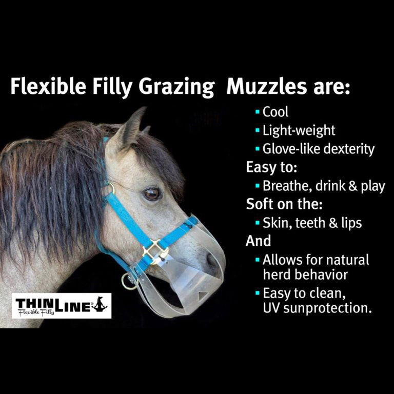 Flexible filly grazing on sale muzzle