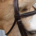 Red Barn Icon Bridle