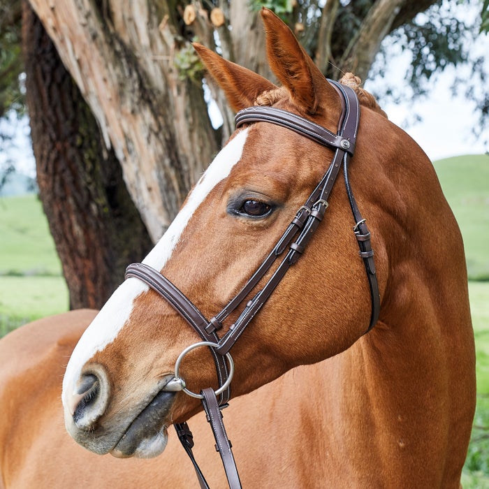 Henri de Rivel Pro Mono Crown Fancy Stitched Padded Bridle