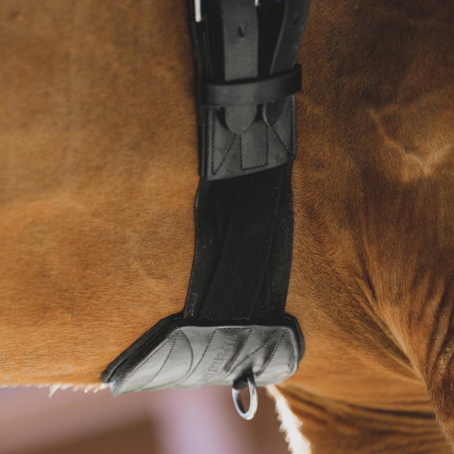 Tapestry Comfort Dressage/Monoflap Girth