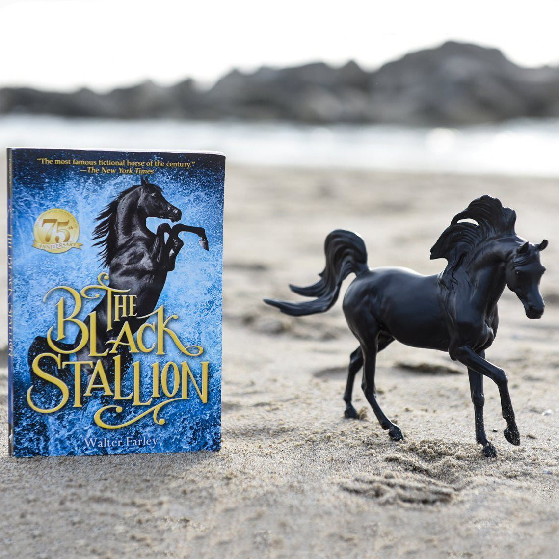 Breyer Classics Black Stallion Horse &amp; Book Set